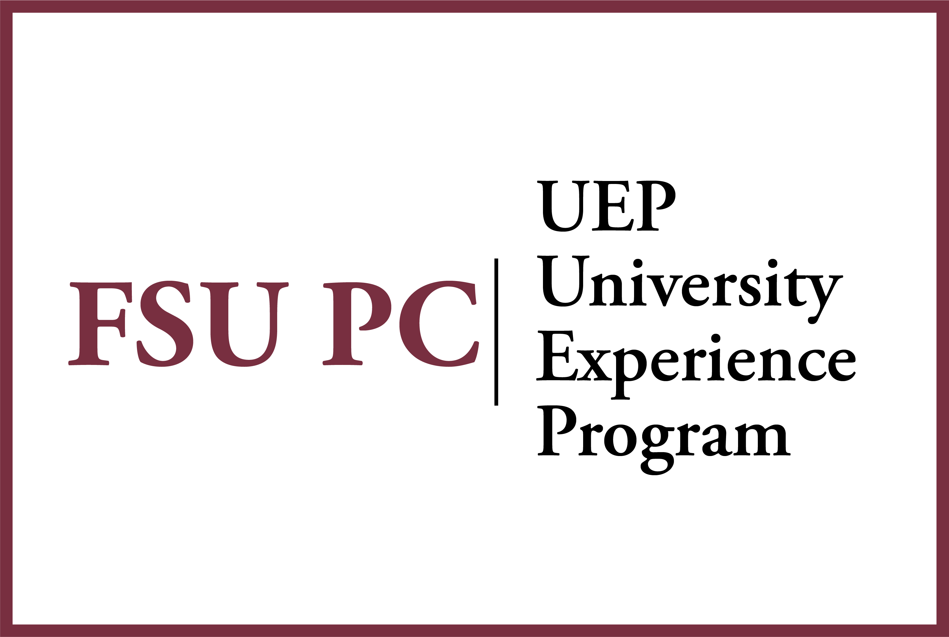 University Experience Program graphic