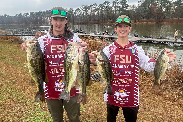 750(w)x500(h) pixels, preferred ratio:3:2