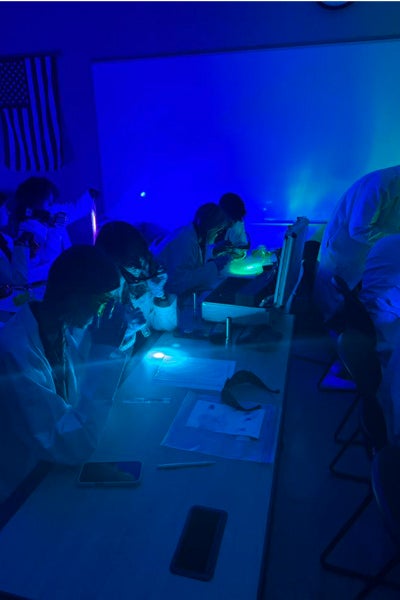 students use a black light to reveal evidence that is otherwise invisible to the human eye.