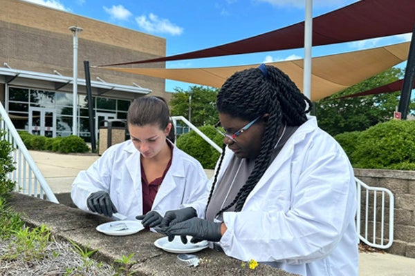 CSI students examine fingerprints left in the weather.