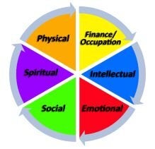 Wellness Wheel graphic depiction,