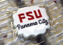 FSU PC cookies