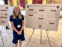 Everett Dent-N Bay Haveb-4046